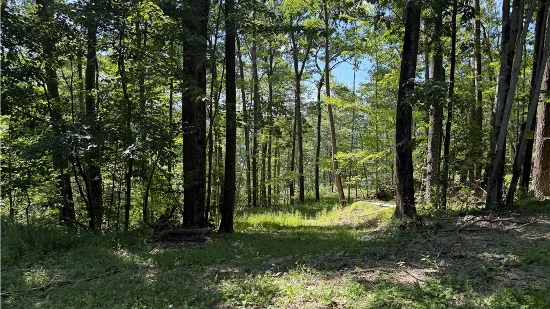 Property at WP01 Rt-70, Grove, NY 14884 18