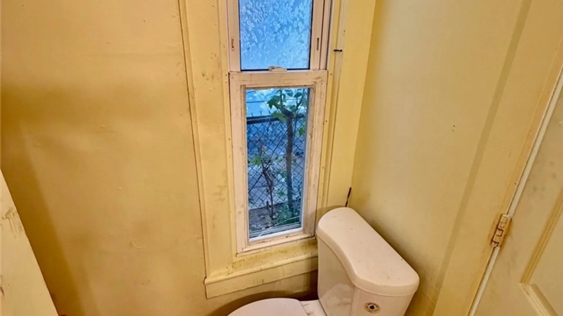 Property at 117 Seward Street, Syracuse, NY 13203 11
