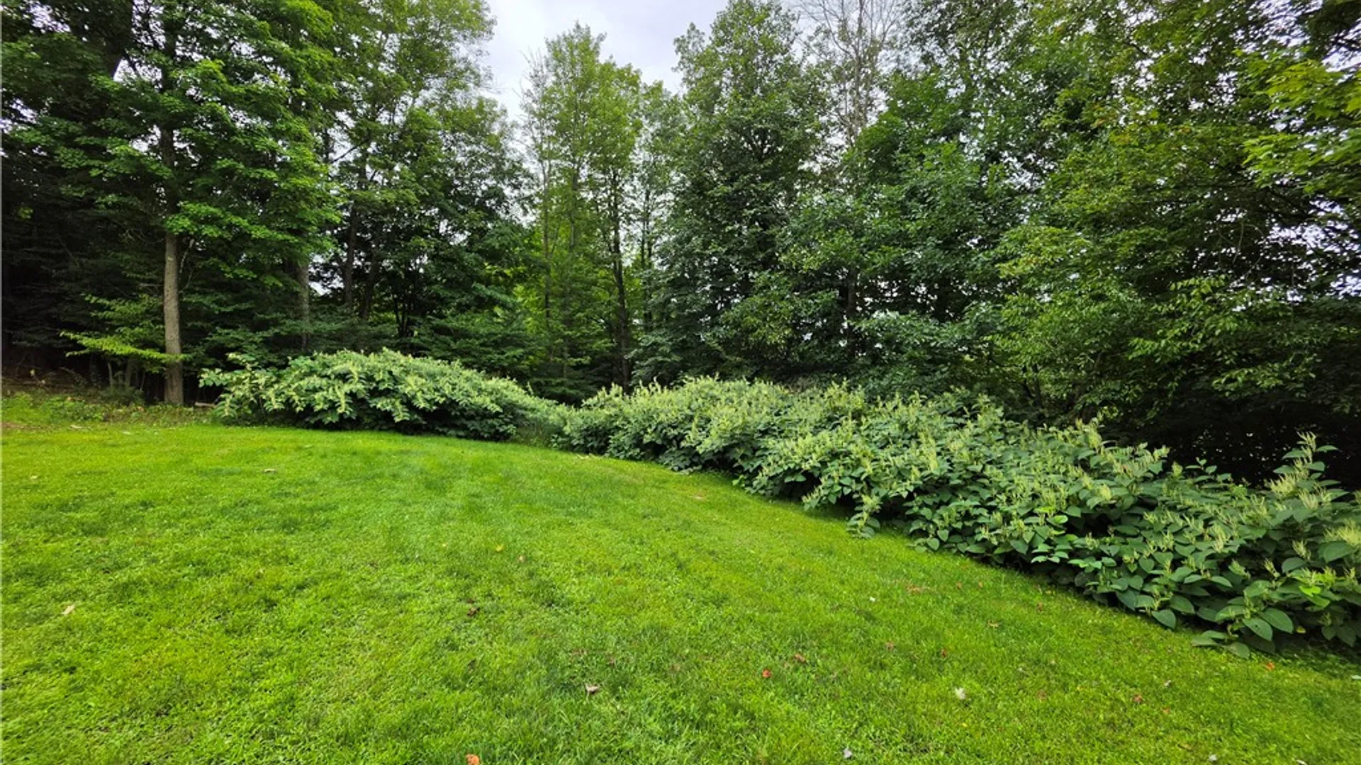 Property at 21 Candor Hill Rd, Candor, NY 13743 37