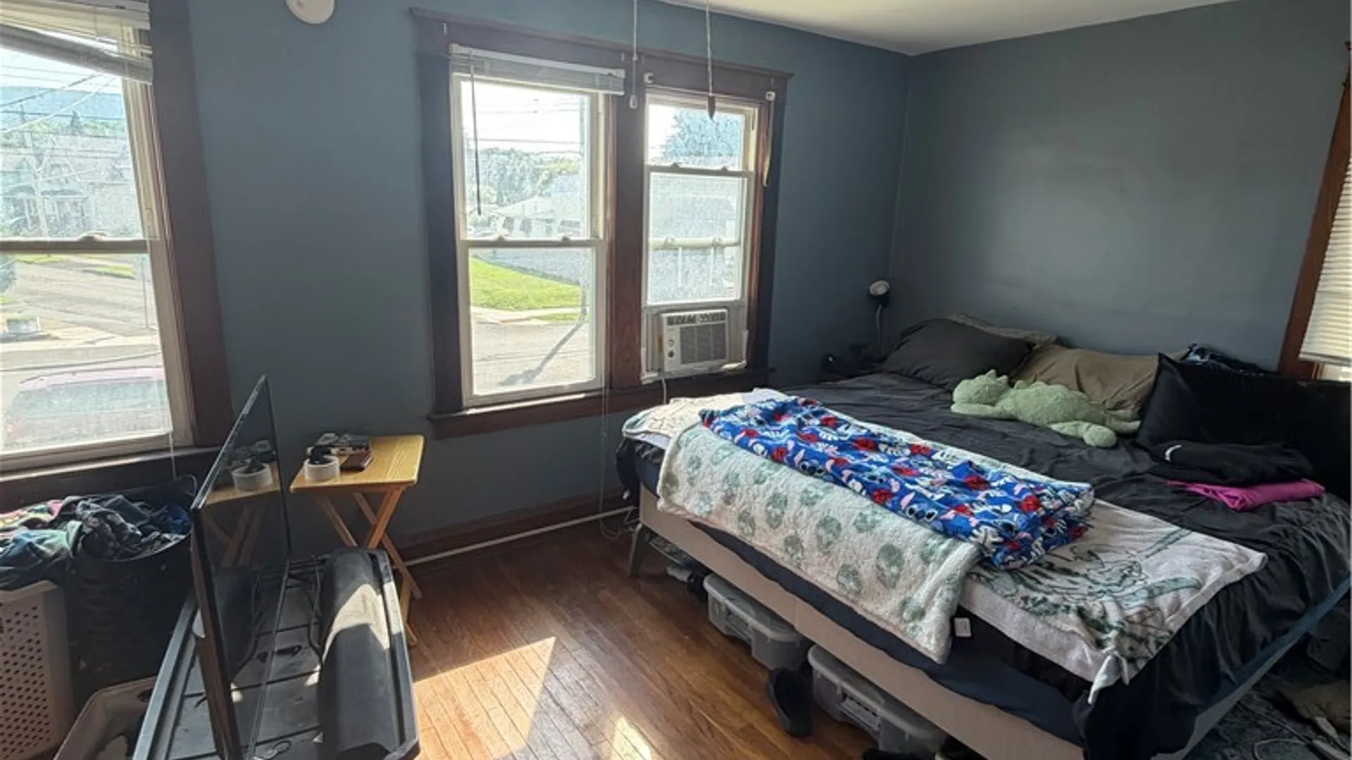 Property at 1209 College Avenue, Elmira City, NY 14901 8