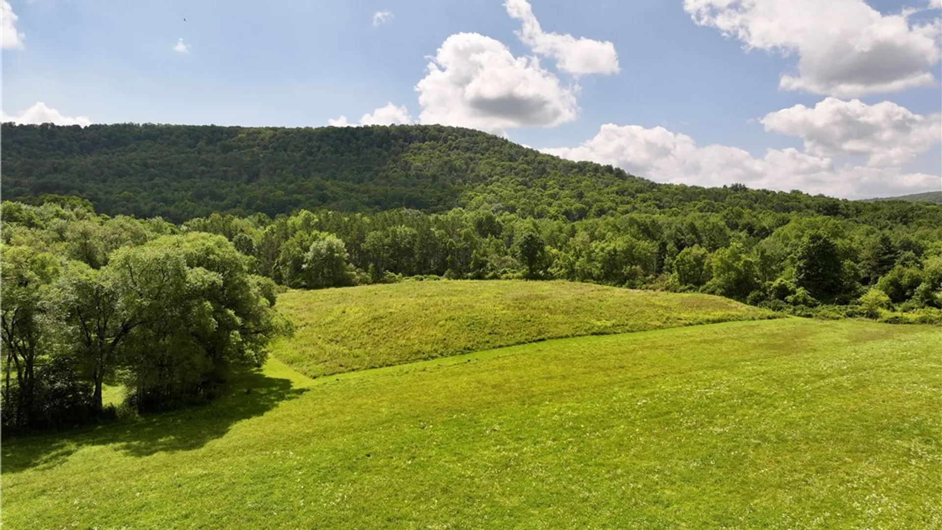 Property at 00 Conkrite Rd, Cayuta, NY 14824 9