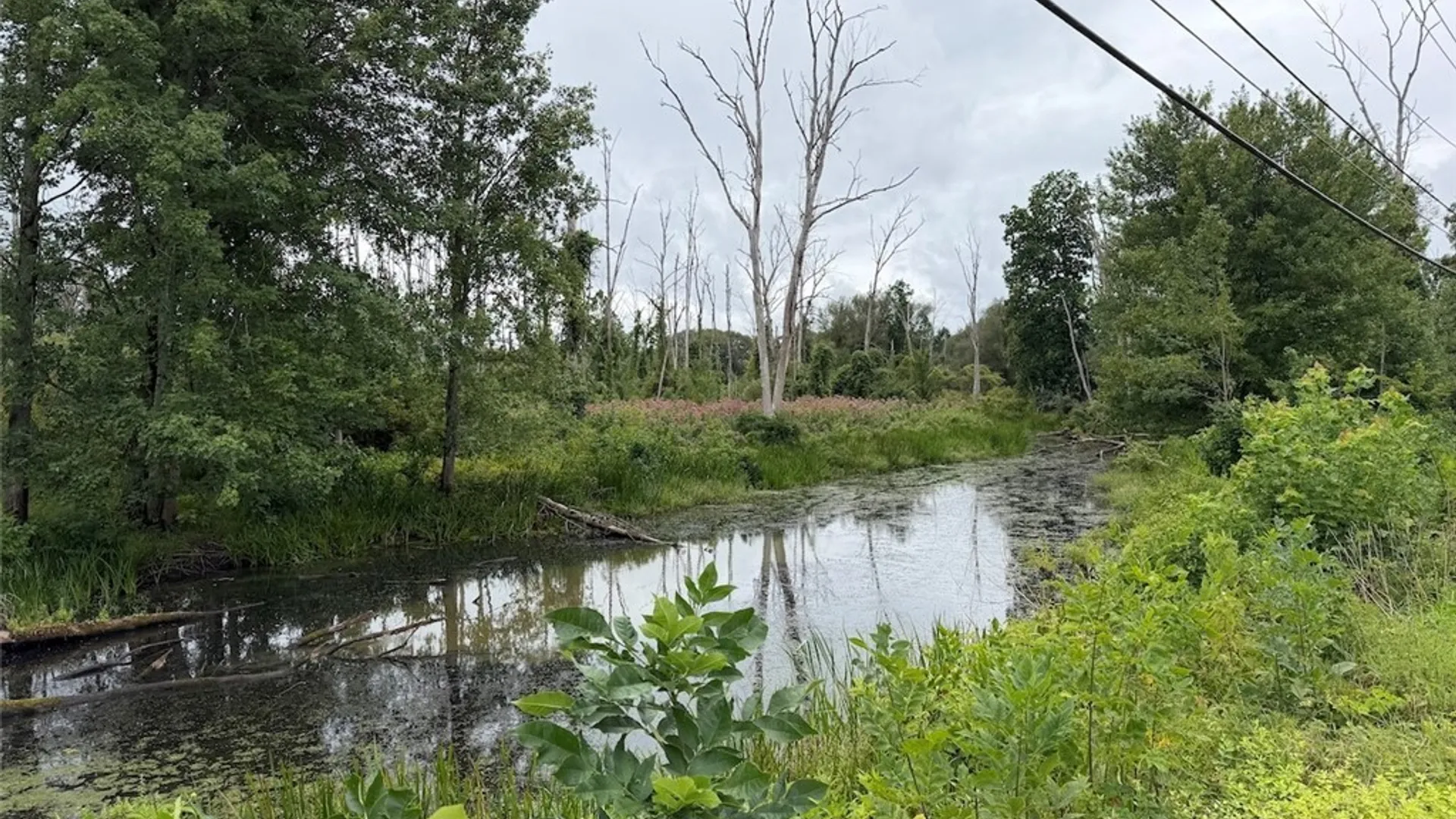 Property at S Rt 62, Kiantone, NY 14738 6
