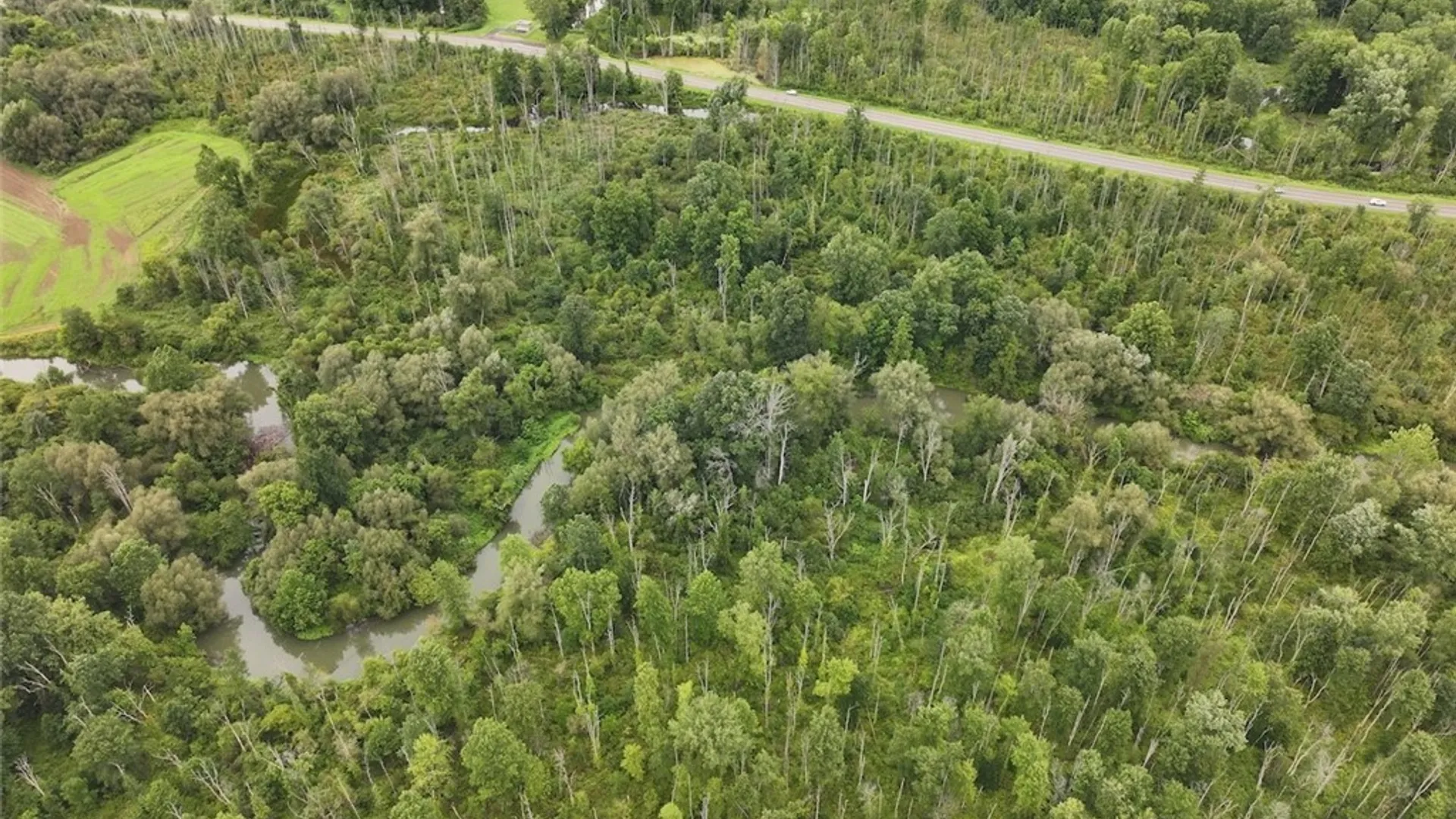 Property at S Rt 62, Kiantone, NY 14738 11