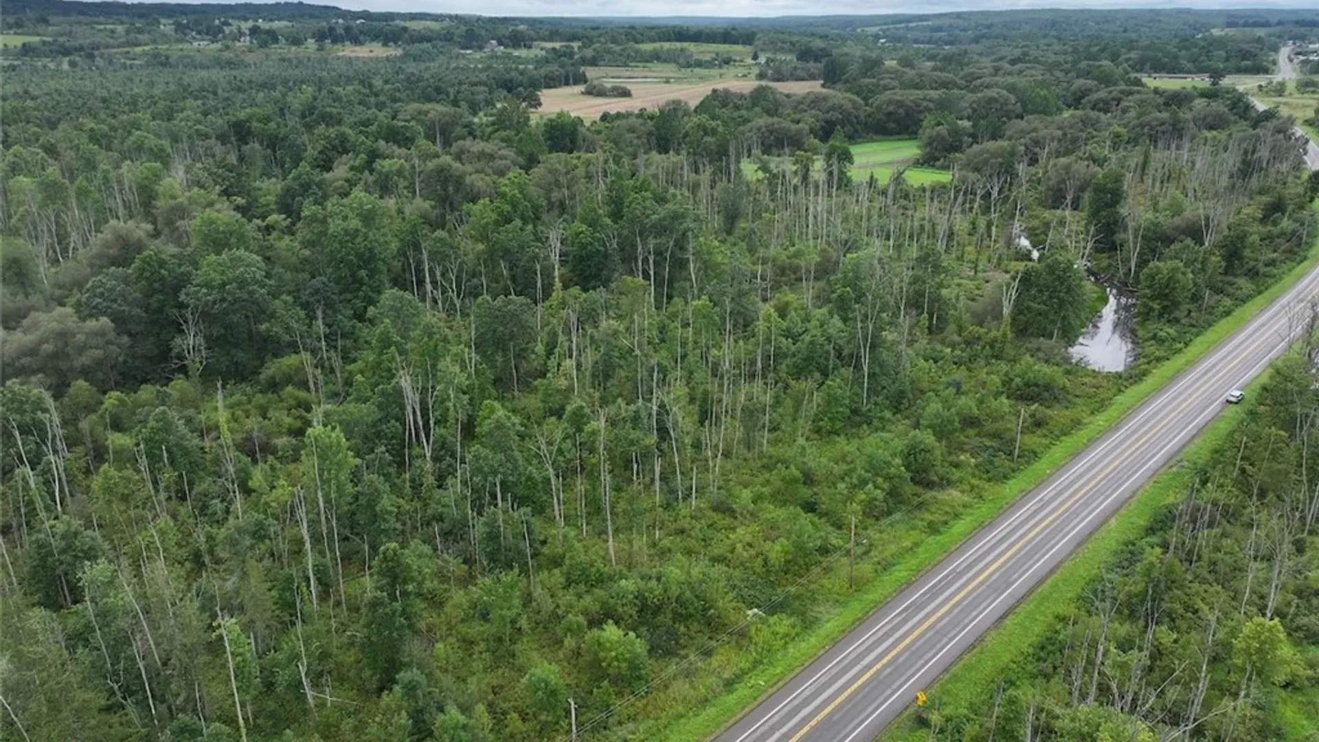 Property at S Rt 62, Kiantone, NY 14738 16