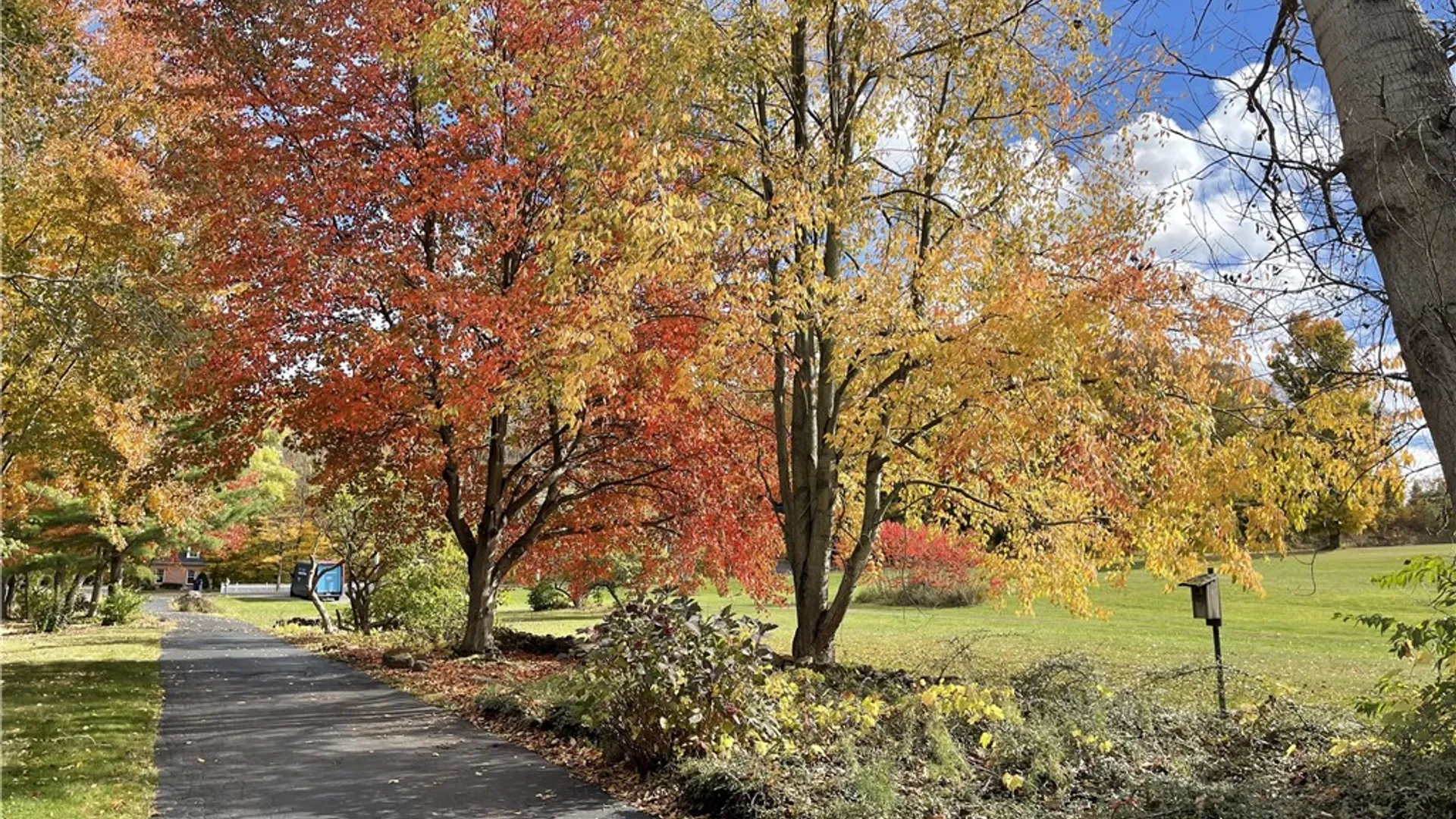 Property at 877 Gallup Road, Sweden, NY 14559 44
