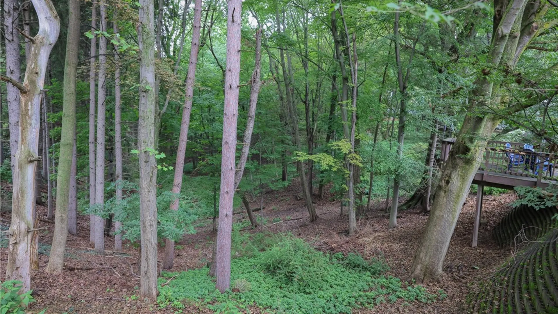 Property at 166 Nob Hill, Irondequoit, NY 14617 33