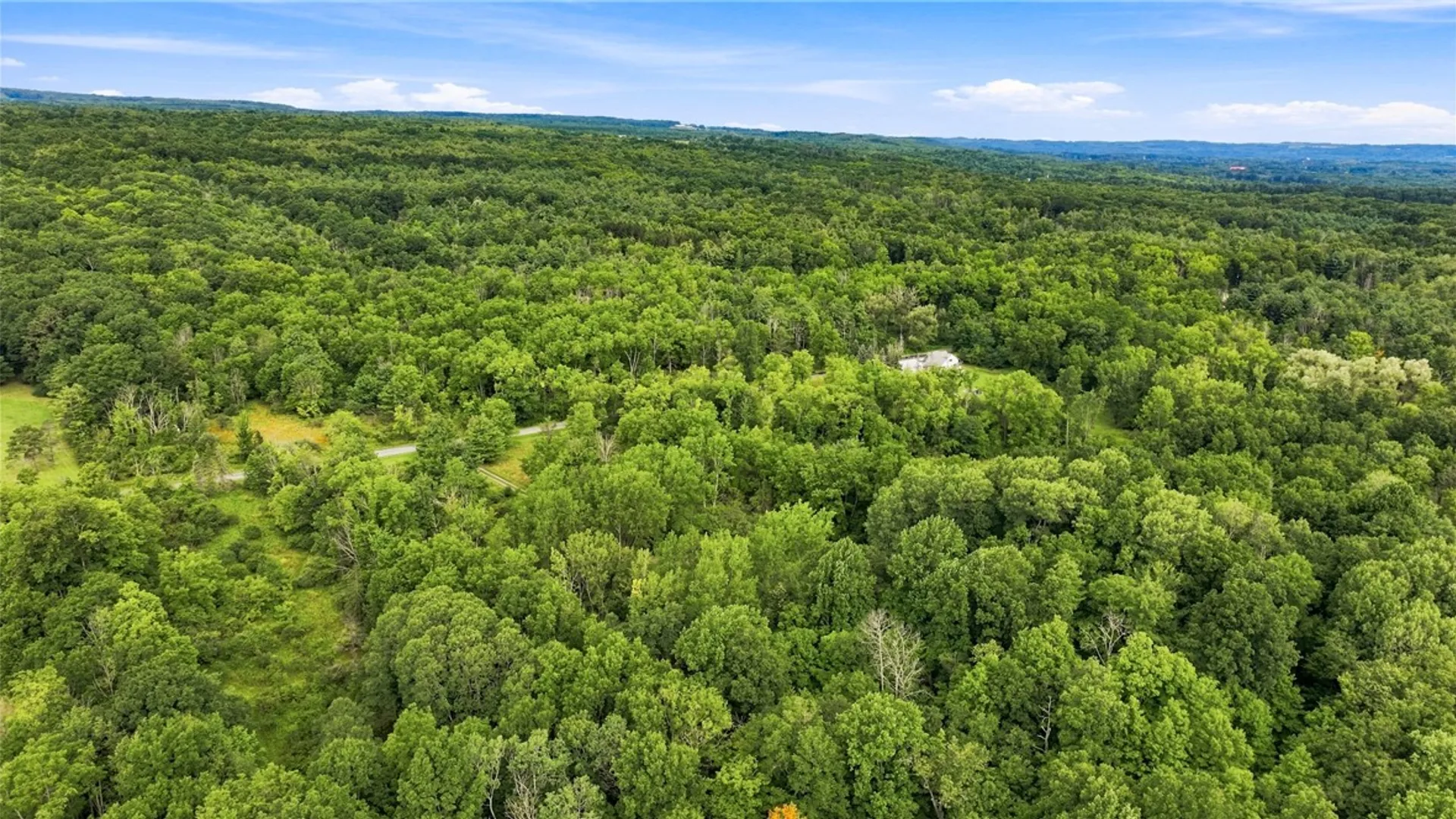 Property at 2507 Shanty Plains Road, Jerusalem, NY 14527 24