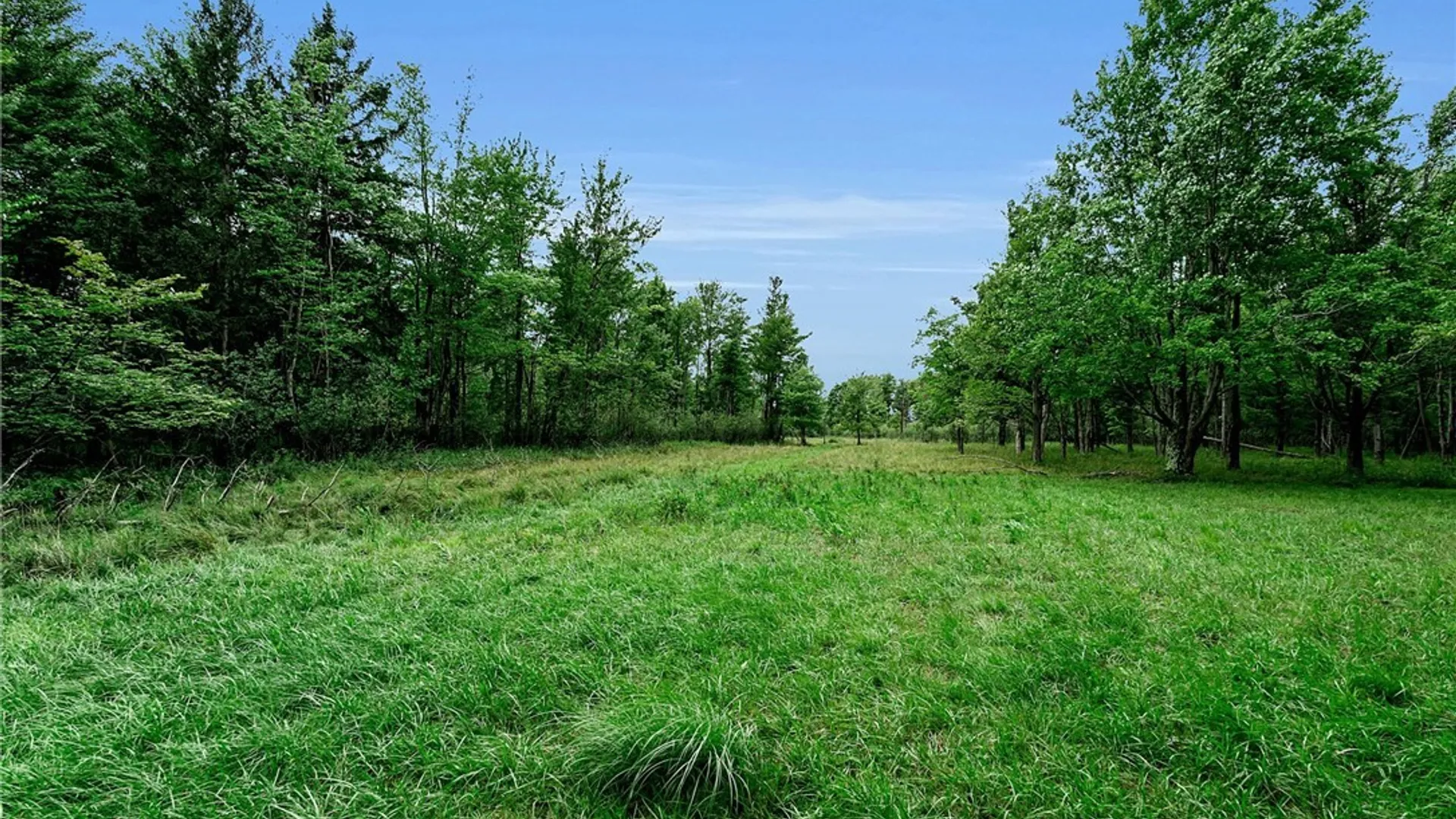 Property at 785 Orchard Park Road, West Seneca, NY 14224 42
