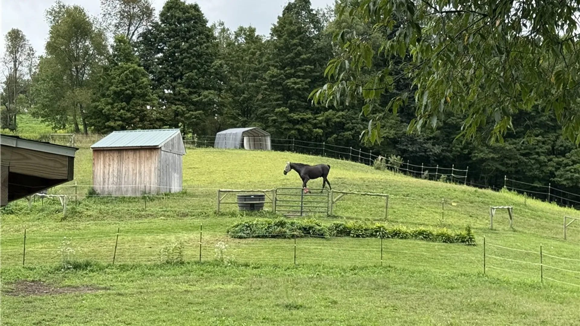 Property at 518 Hamilton Valley Road, Tioga, NY 14883 34
