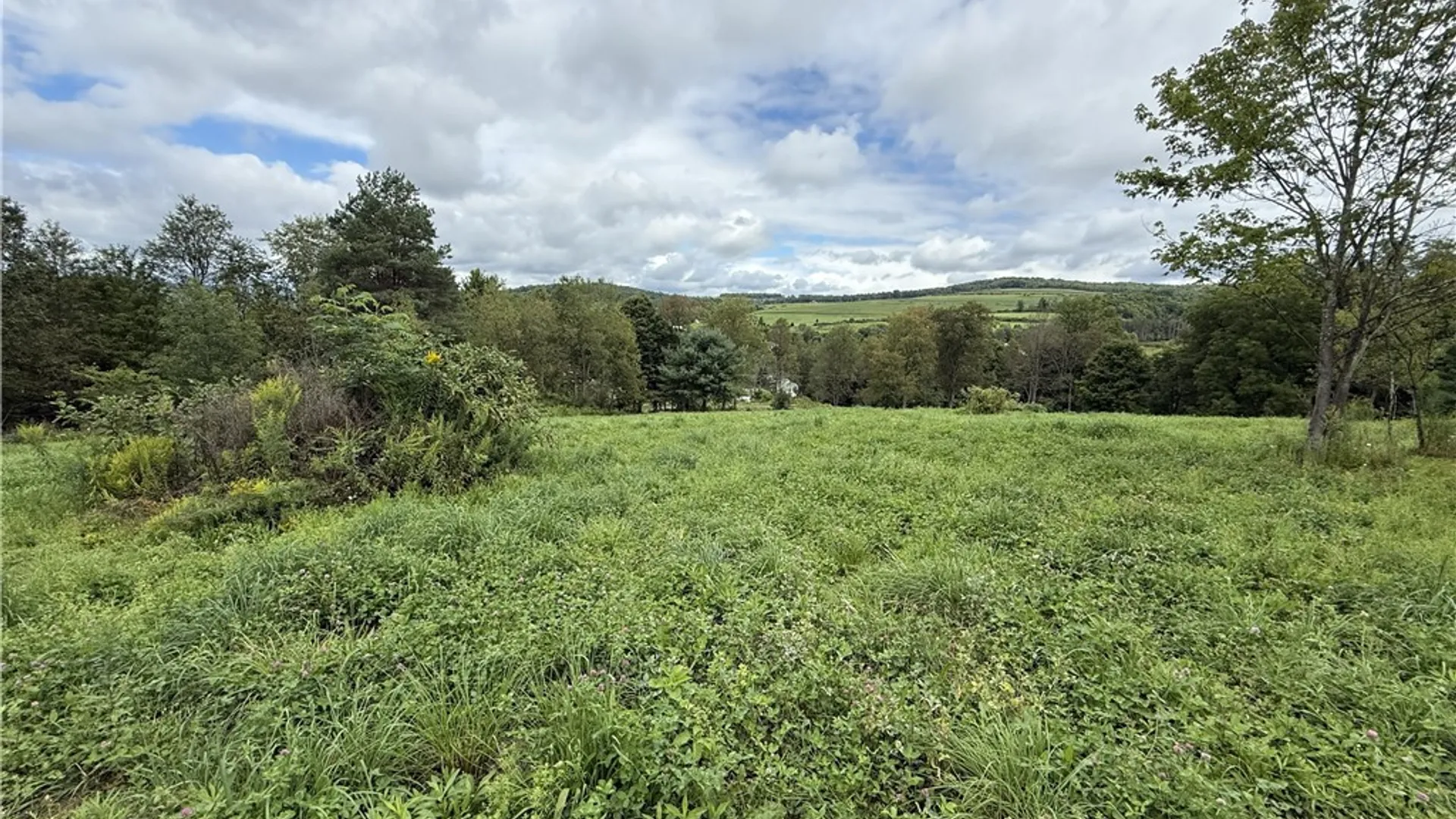 Property at 518 Hamilton Valley Road, Tioga, NY 14883 36