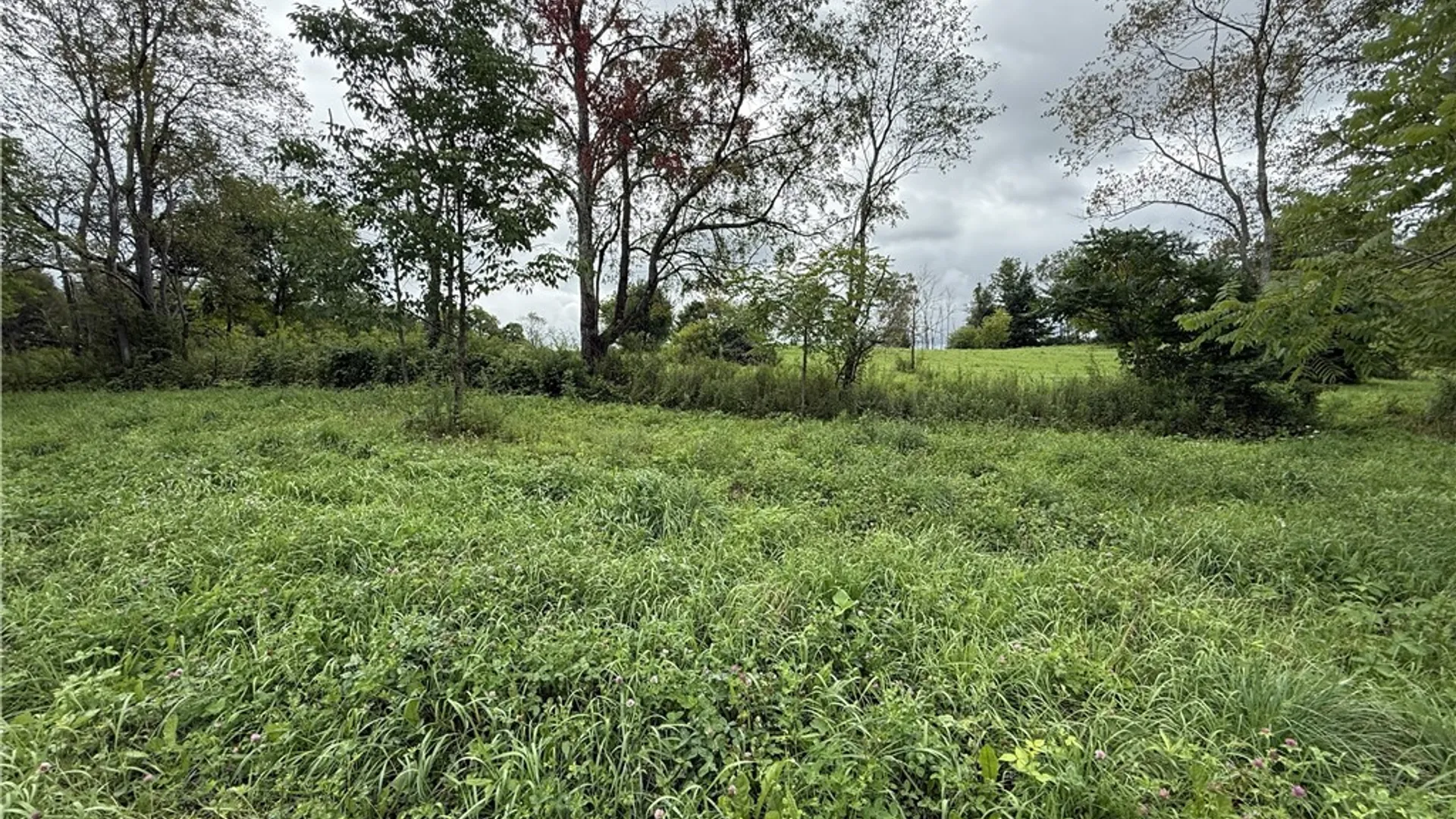Property at 518 Hamilton Valley Road, Tioga, NY 14883 37
