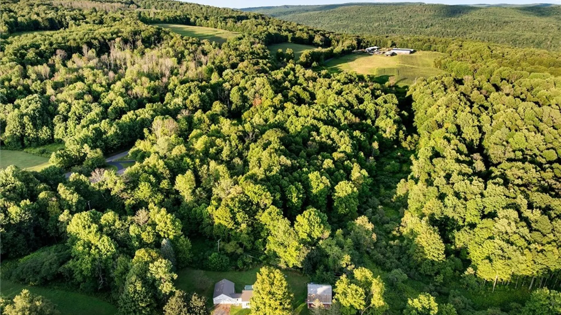 Property at 10512 Webster Hill Road, Western, NY 13309 44