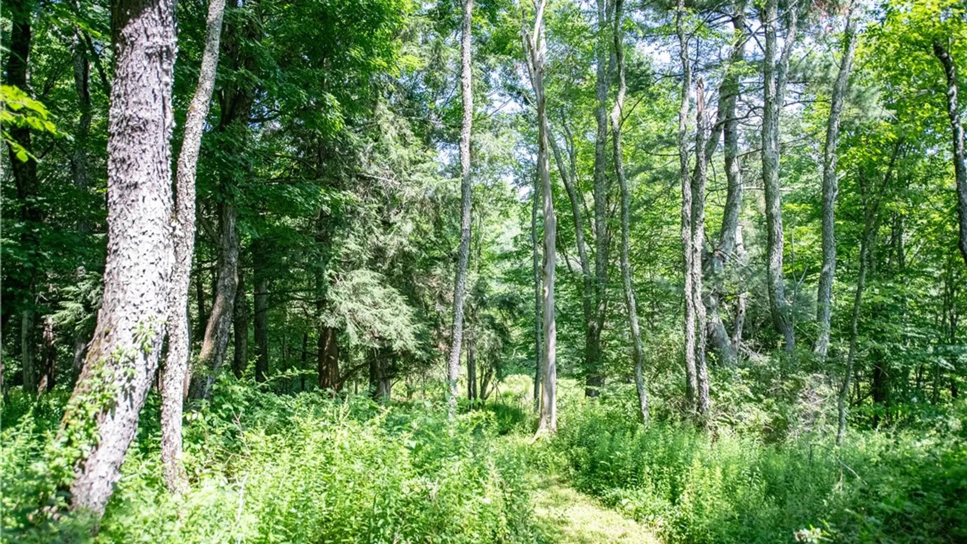 Property at 10241 County Highway 33, Harpersfield, NY 13739 23