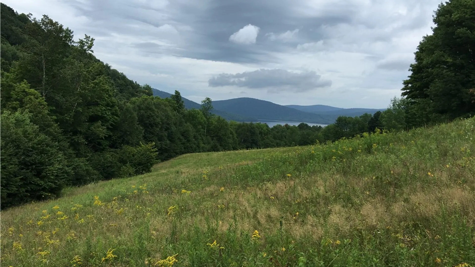 Property at 611 Faulkner Road, Tompkins, NY 13856 11