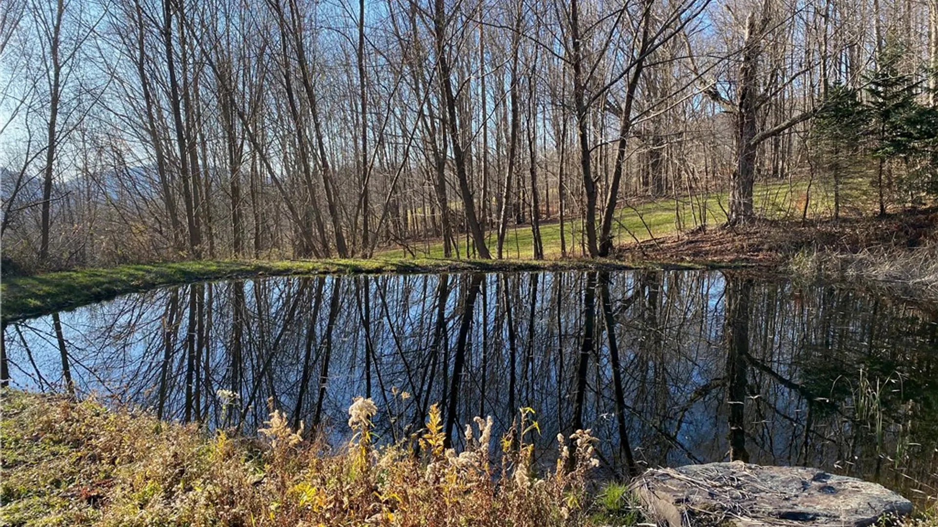 Property at 611 Faulkner Road, Tompkins, NY 13856 45