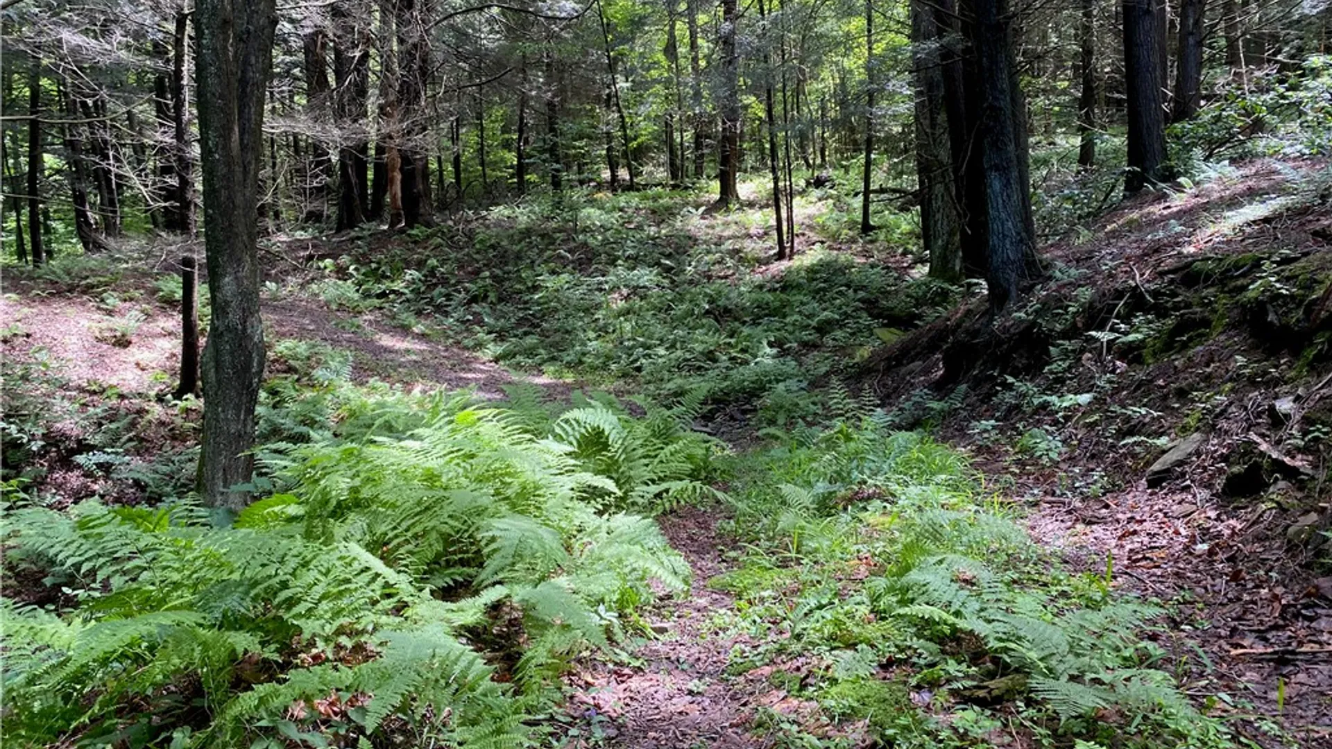 Property at 611 Faulkner Road, Tompkins, NY 13856 47