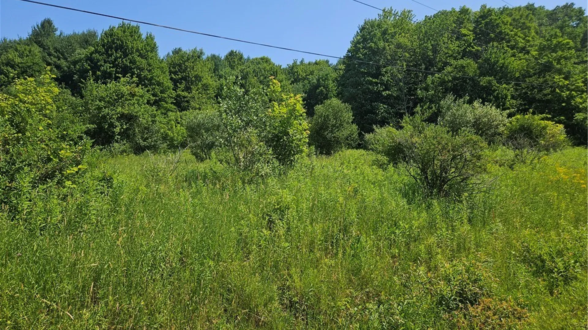 Property at 0 Bozard Hill Road, Humphrey, NY 14741 3