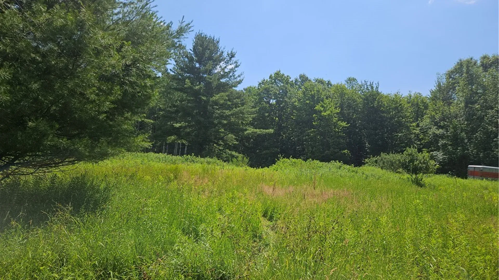 Property at 0 Bozard Hill Road, Humphrey, NY 14741 11