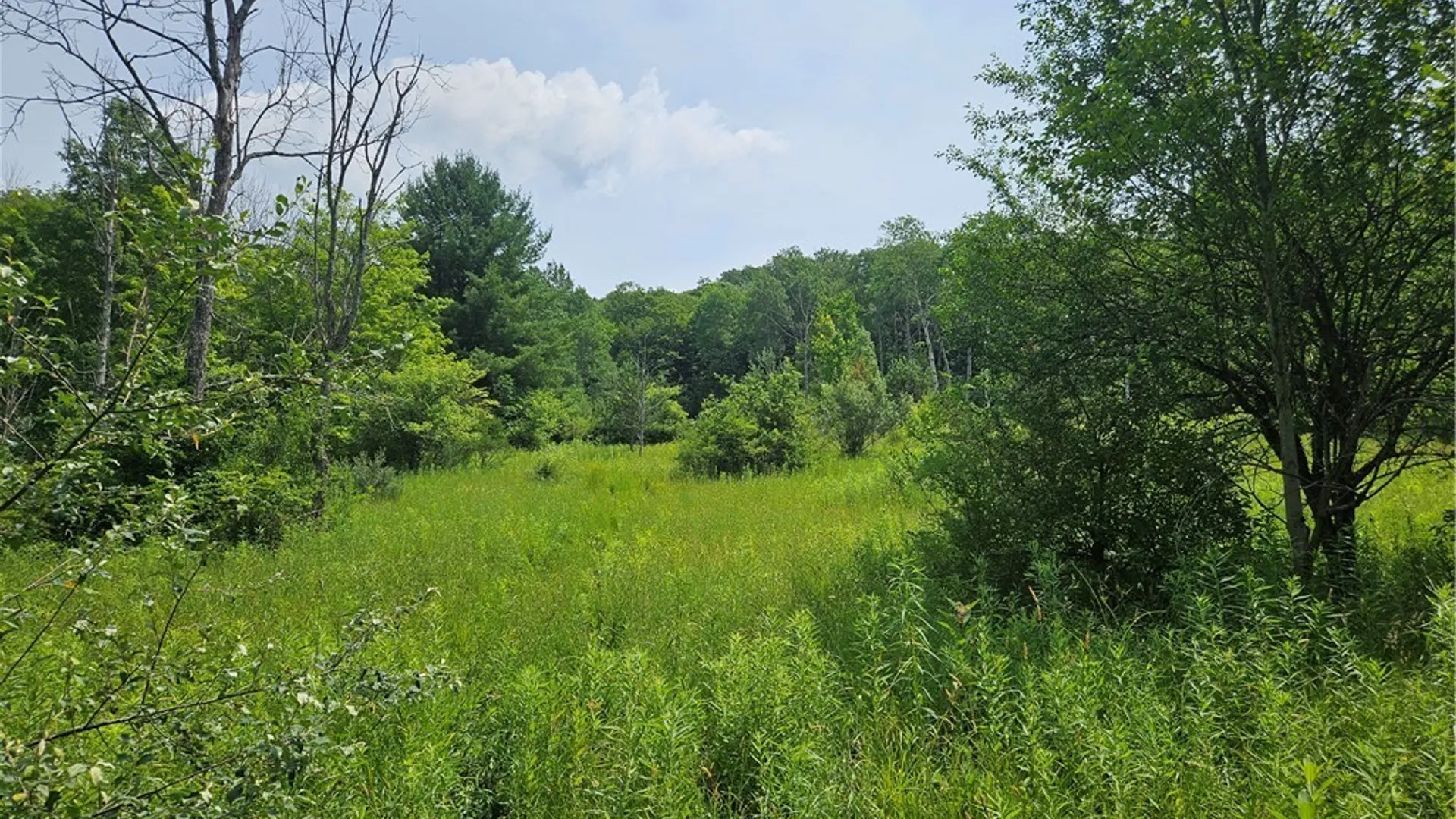 Property at 0 Bozard Hill Road, Humphrey, NY 14741 18