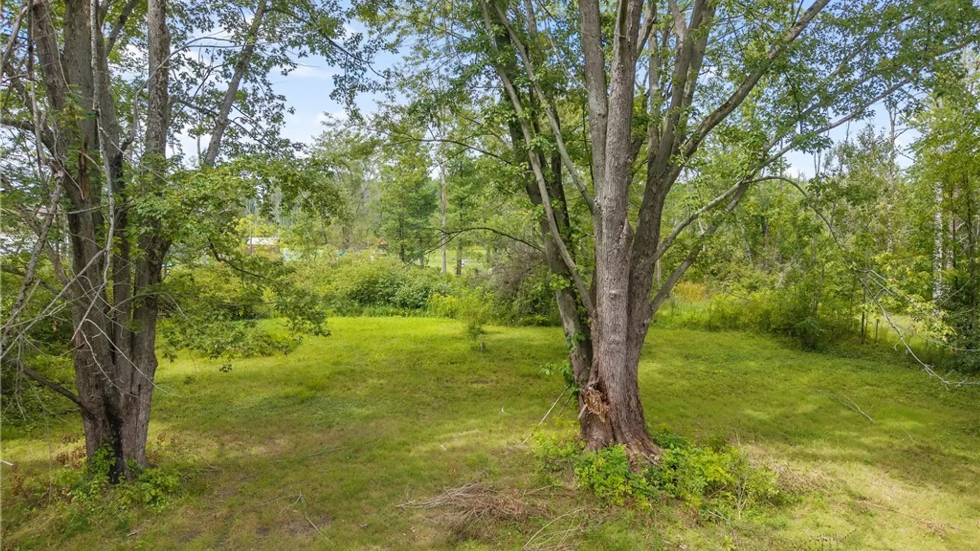 Property at 8921 Ash Lane, Sullivan, NY 13030 20
