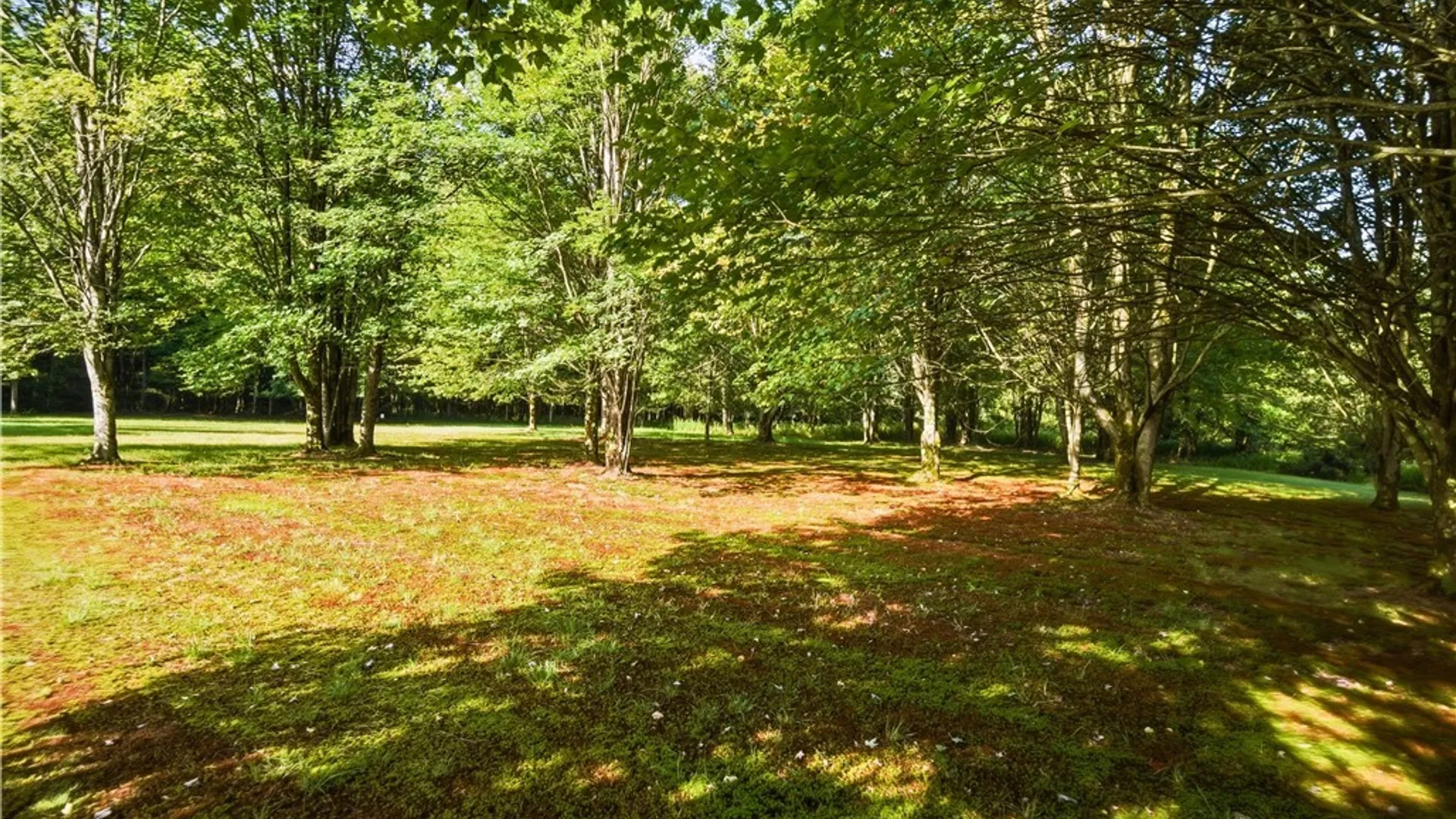 Property at 1089 Goshen Road, Harmony, NY 14767 13