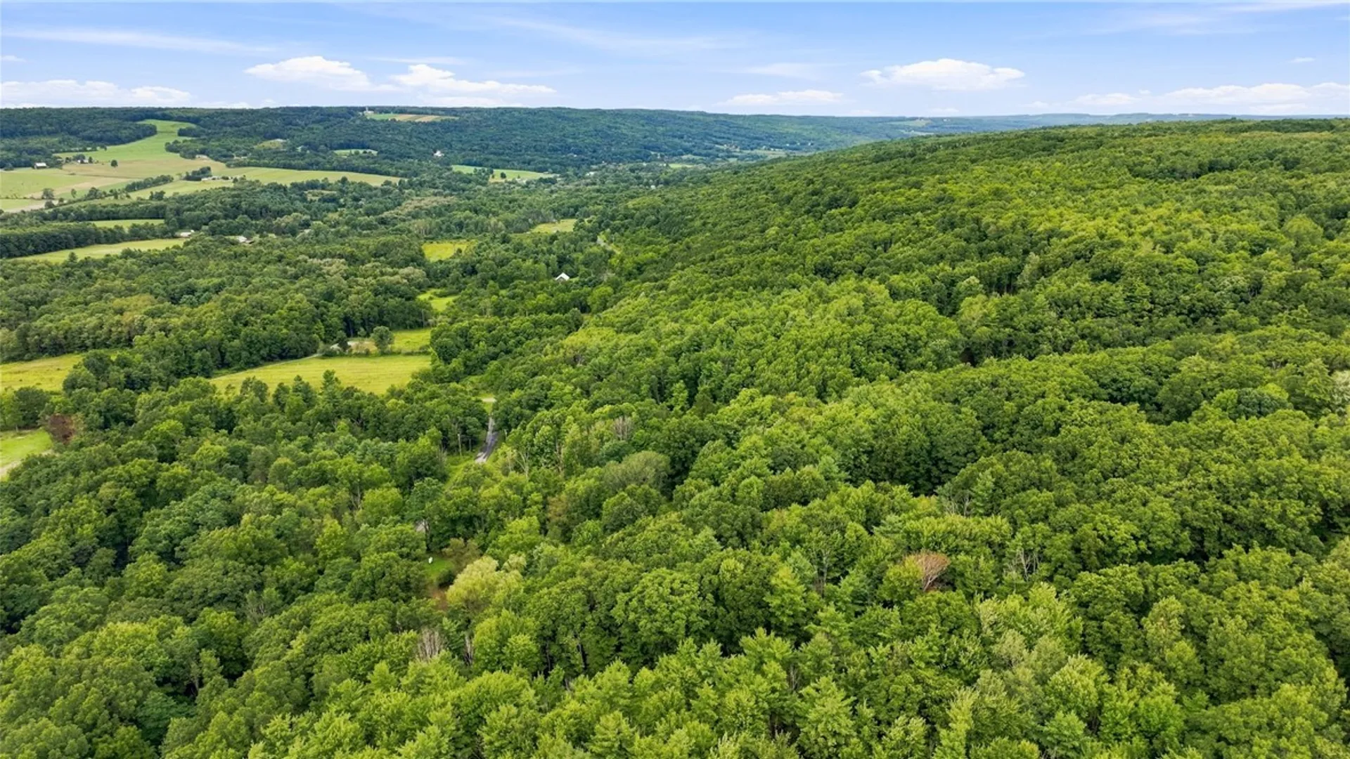 Property at 4862 Decamp Road, Tyrone, NY 14837 20