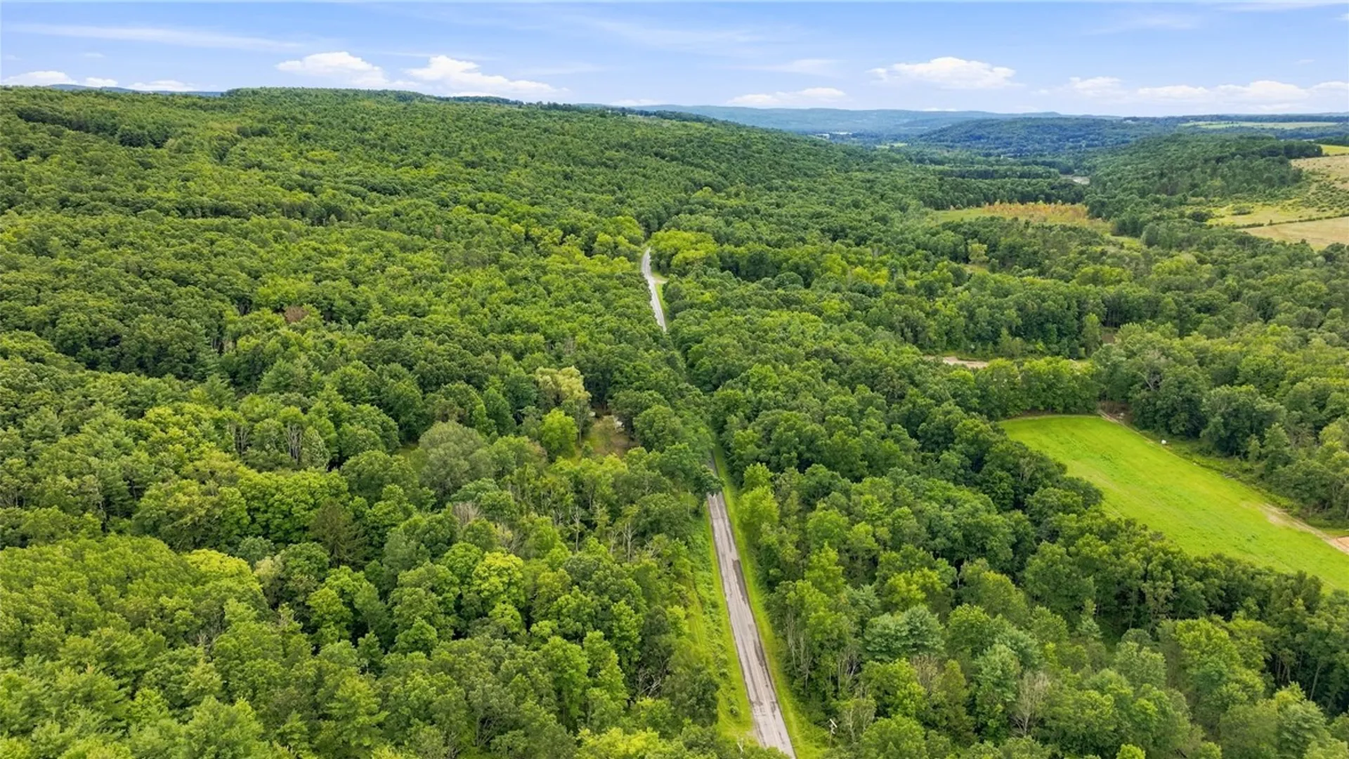 Property at 4862 Decamp Road, Tyrone, NY 14837 10