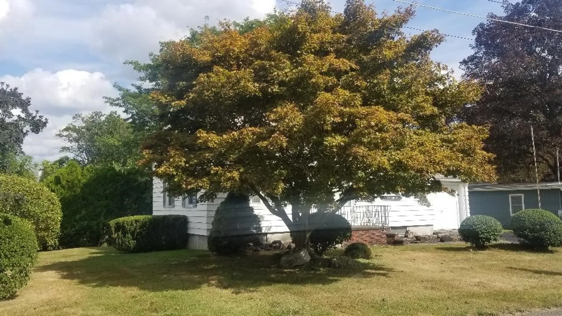Property at 715 Montrose Ave, Syracuse, NY 13209 4