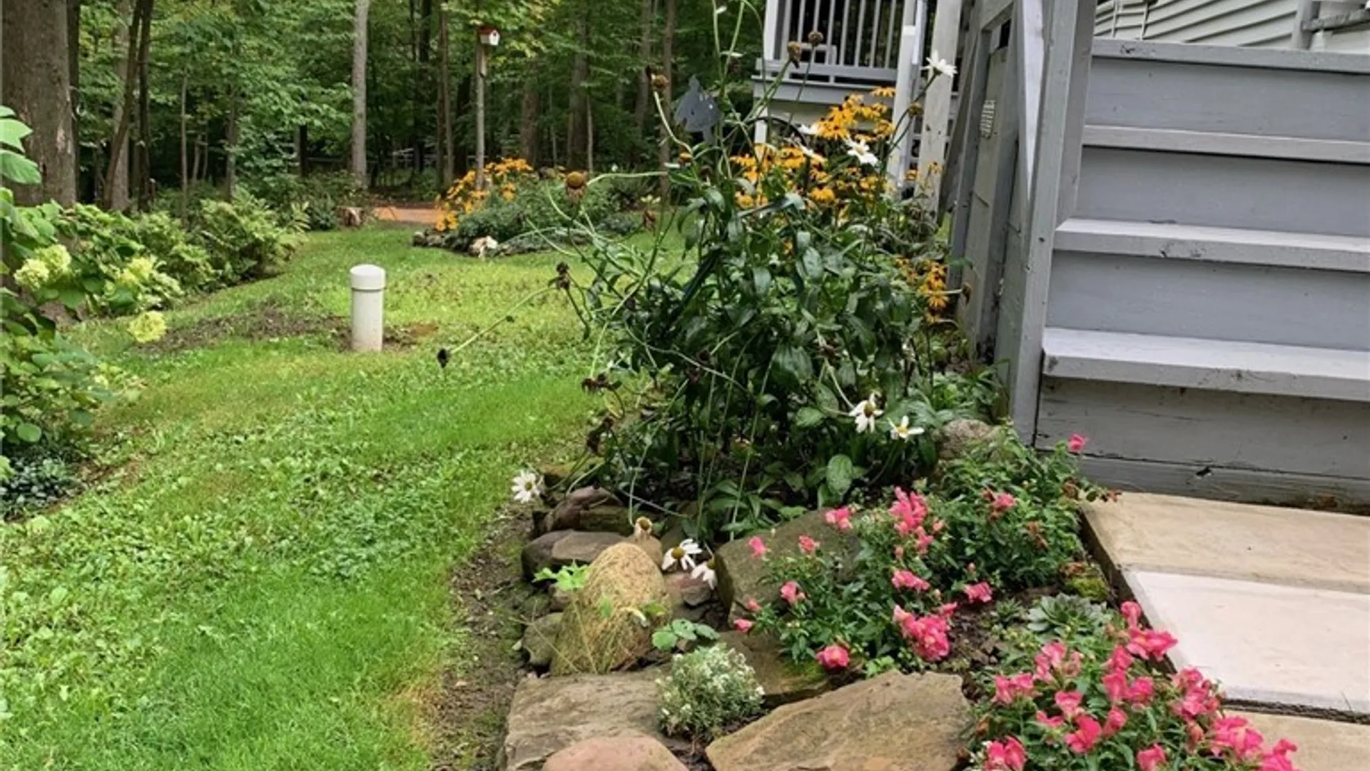 Property at 7518 Meyer Hill Road, East Otto, NY 14729 12