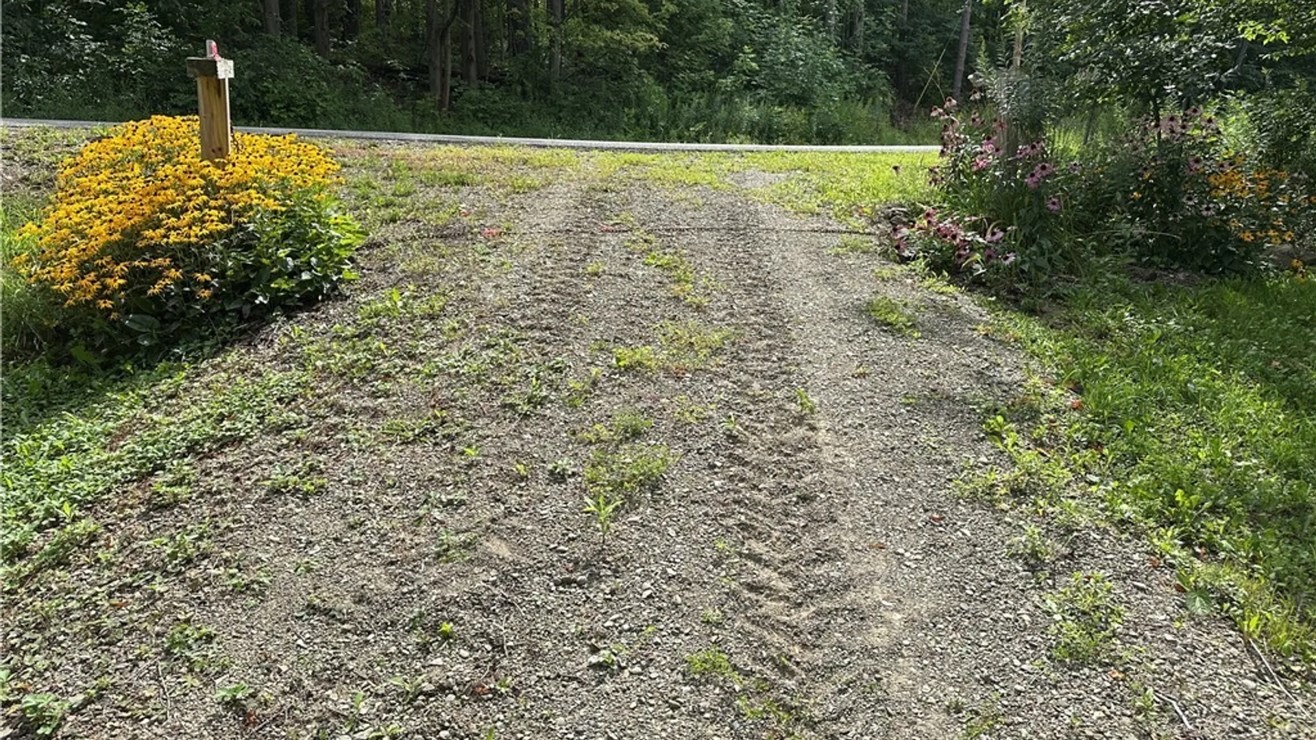 Property at 7518 Meyer Hill Road, East Otto, NY 14729 15