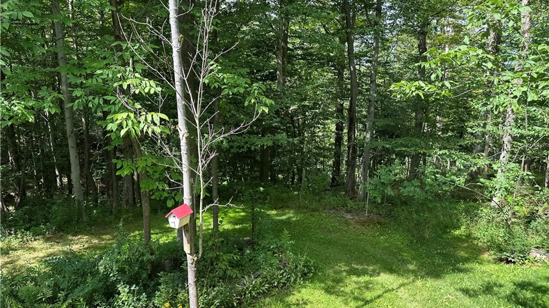 Property at 7518 Meyer Hill Road, East Otto, NY 14729 27