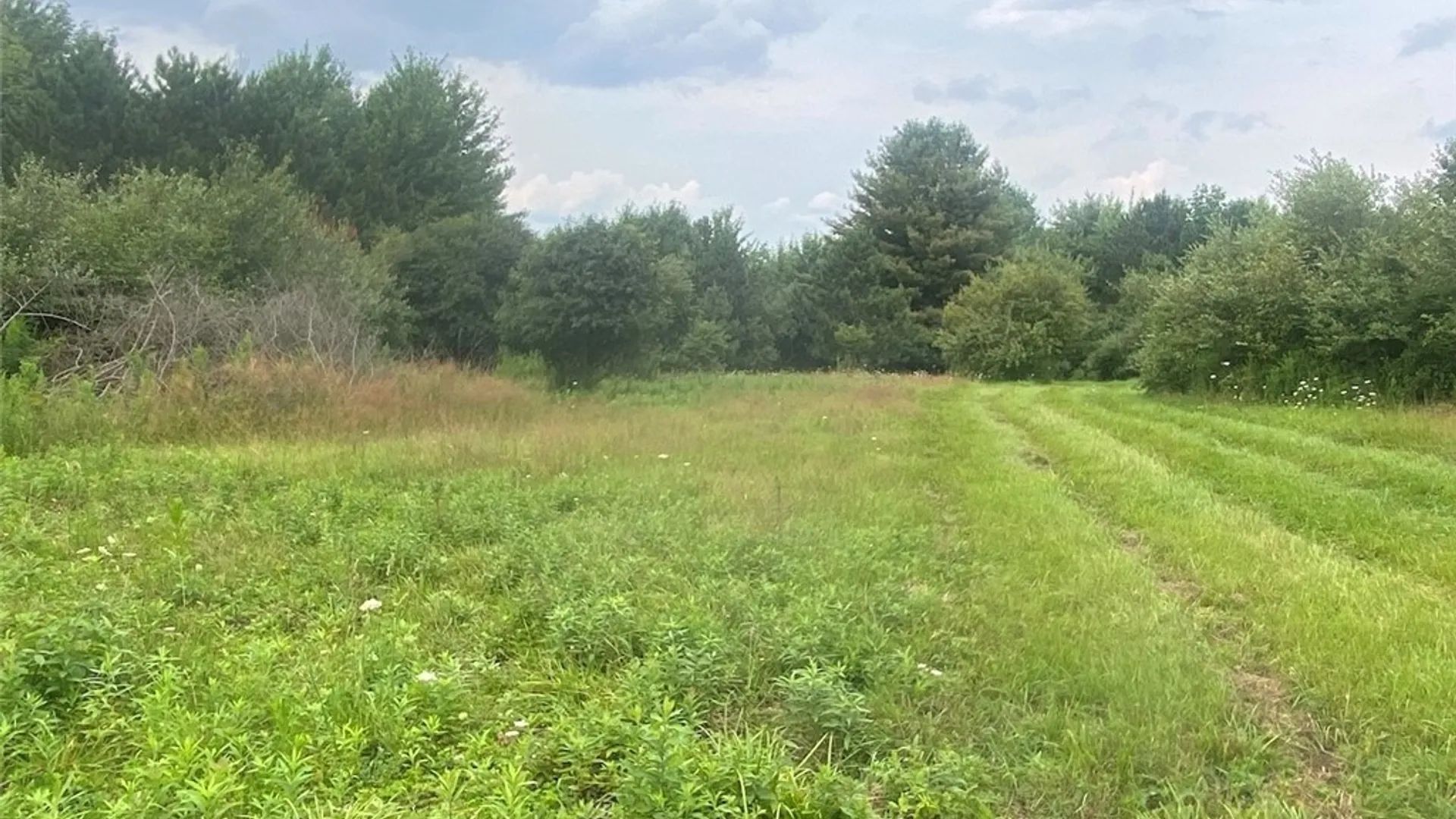 Property at 6218 Feathers Creek Road, Angelica, NY 14813 16