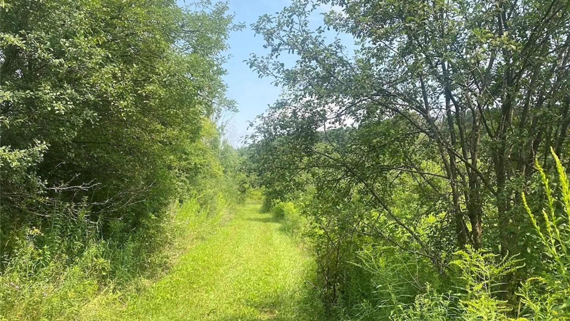 Property at 6218 Feathers Creek Road, Angelica, NY 14813 17