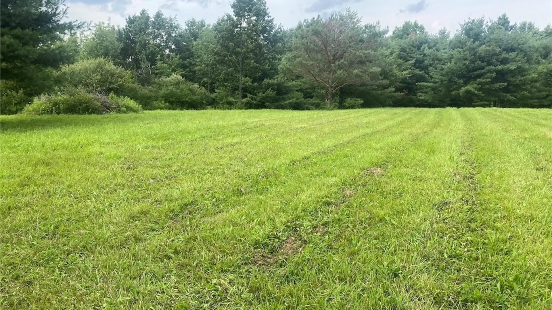 Property at 6218 Feathers Creek Road, Angelica, NY 14813 19