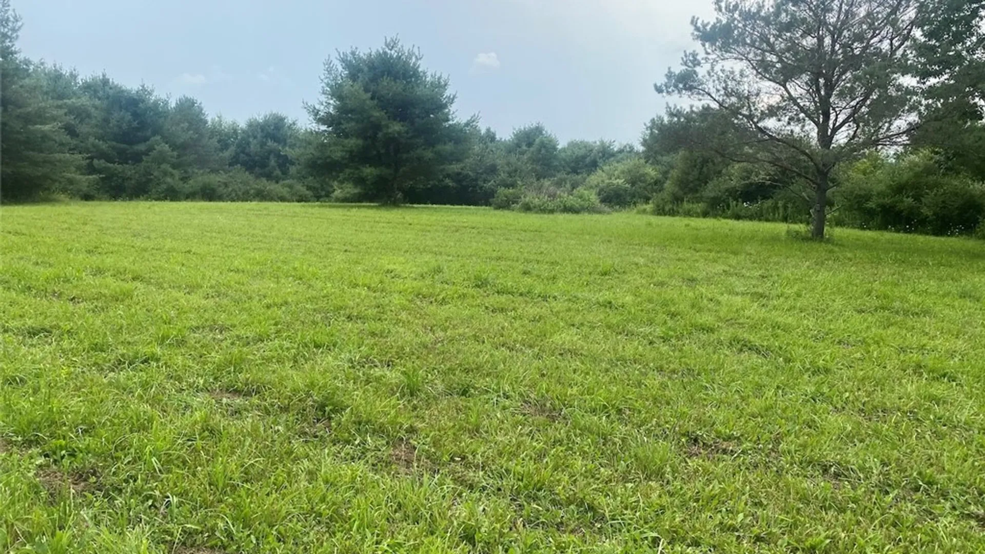 Property at 6218 Feathers Creek Road, Angelica, NY 14813 23
