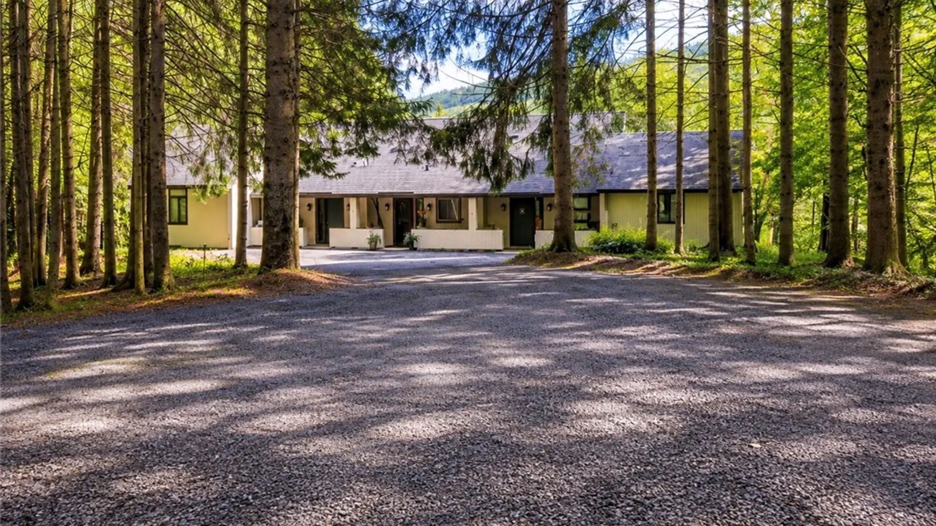 Property at 6951 Route 242, Ellicottville, NY 14731 47
