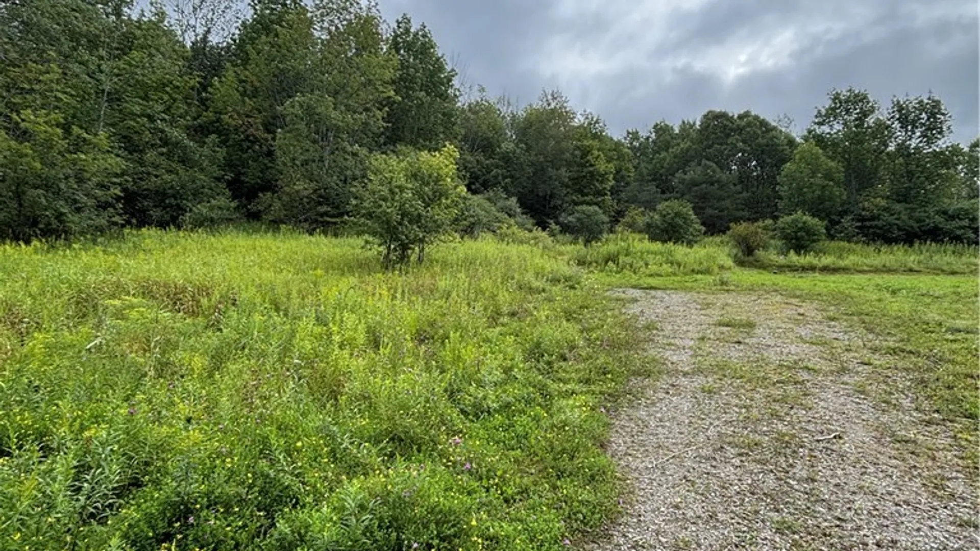 Property at 5228 Kenyon Road, Alfred, NY 14803 5
