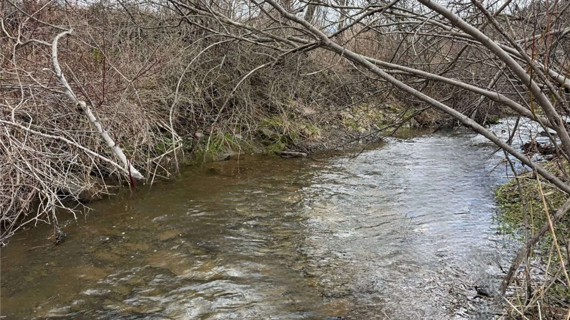 Property at 373 County Highway 10, Morris, NY 13808 9
