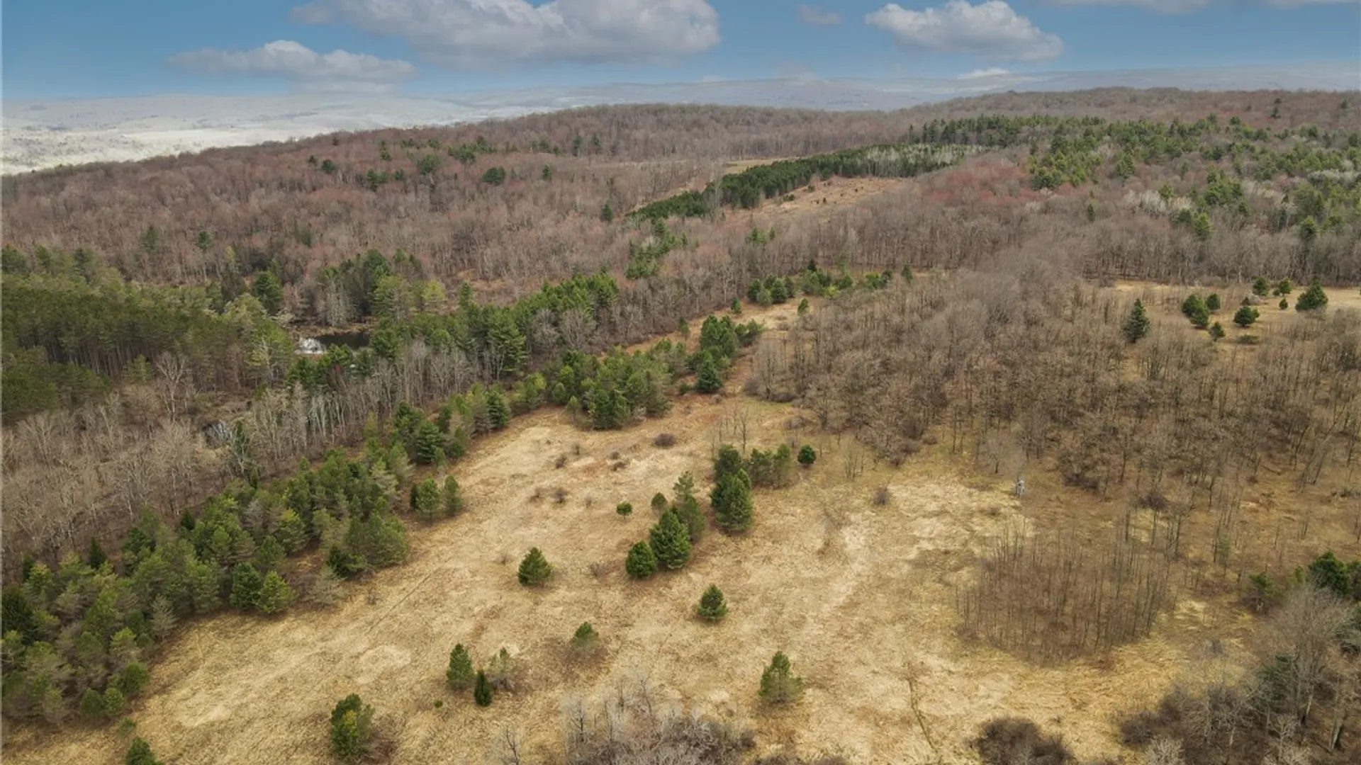 Property at 373 County Highway 10, Morris, NY 13808 14