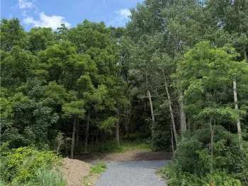 Property at 0 Rt-64, Bristol, NY 14424