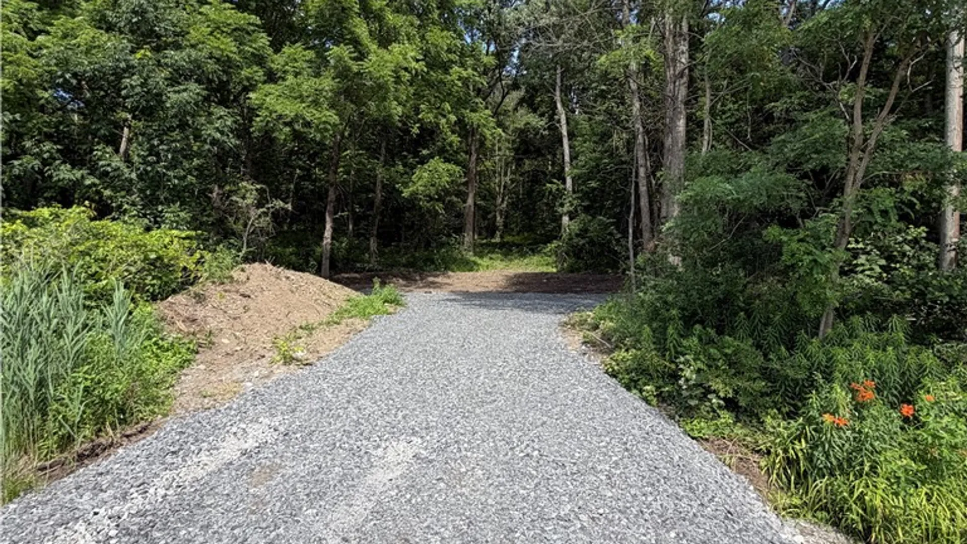 Property at 0 Rt-64, Bristol, NY 14424 4
