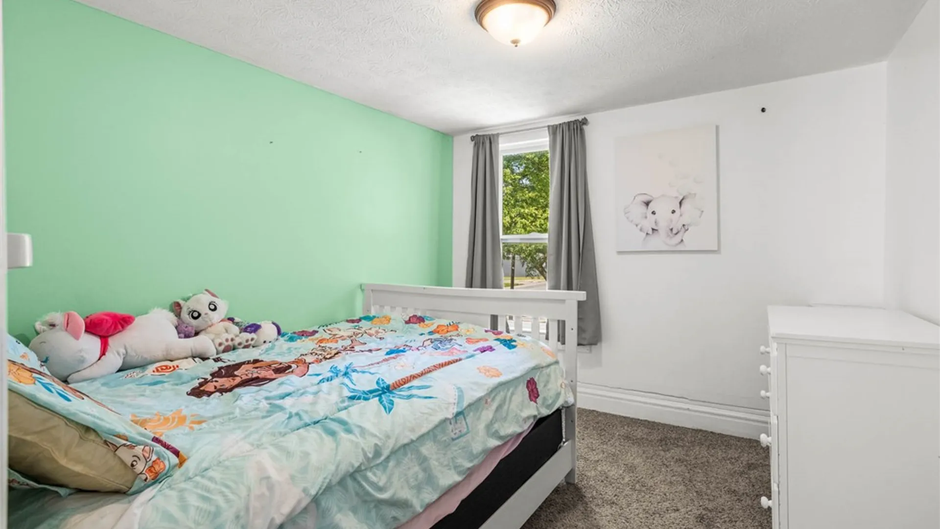 Property at 507 Ellicott Street, Batavia City, NY 14020 25