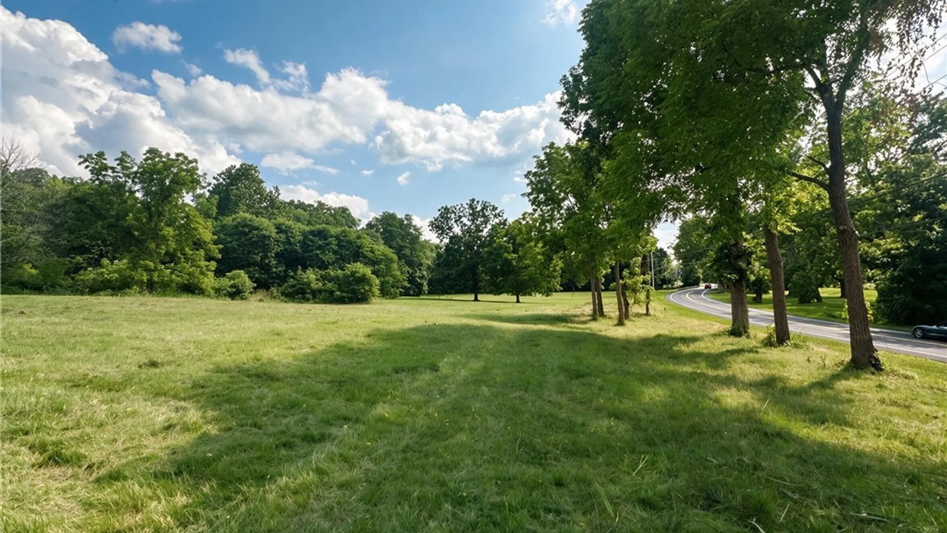 Property at 0 Main Street, Ledyard, NY 13026 12