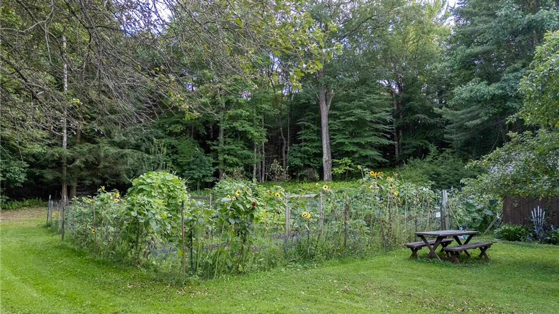 Property at 383 Woodland Drive, Jefferson, NY 12093 42