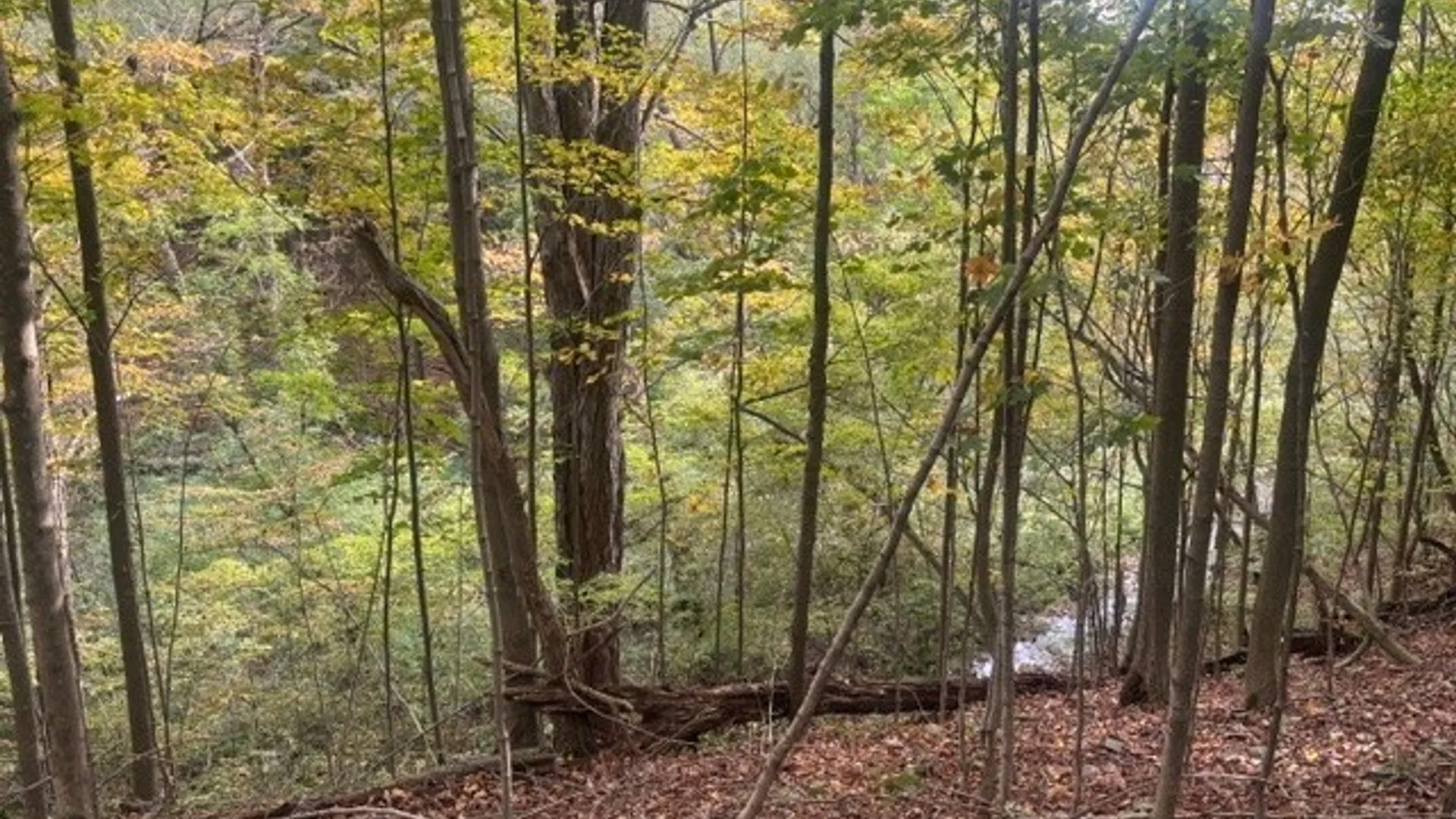 Property at 2676 Buckley Hill Road, Moravia, NY 13118 9