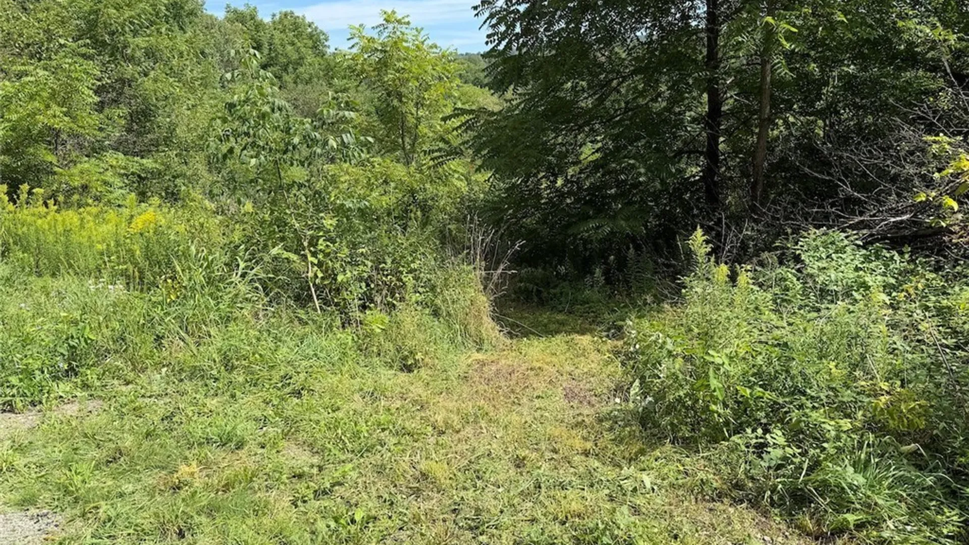 Property at Dye Road, Villenova, NY 14138 3