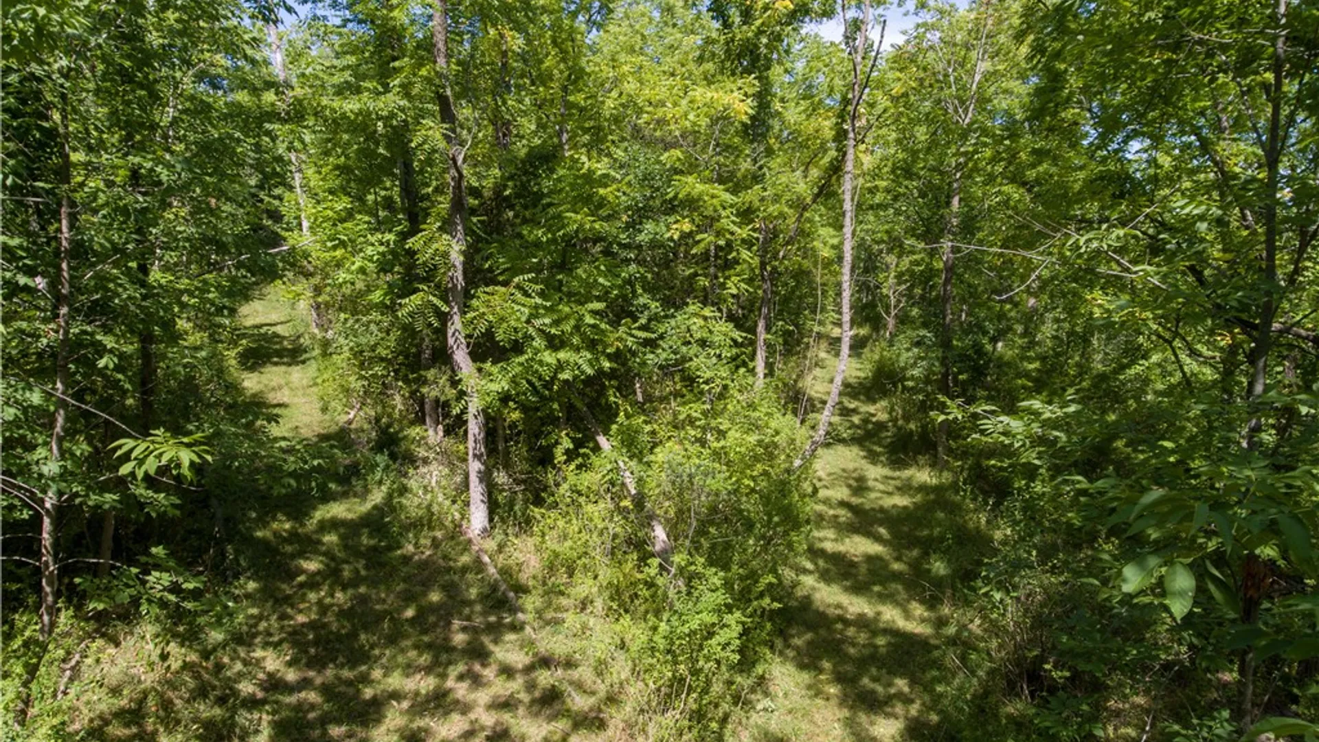 Property at 164 N Glenora Road, Starkey, NY 14837 37