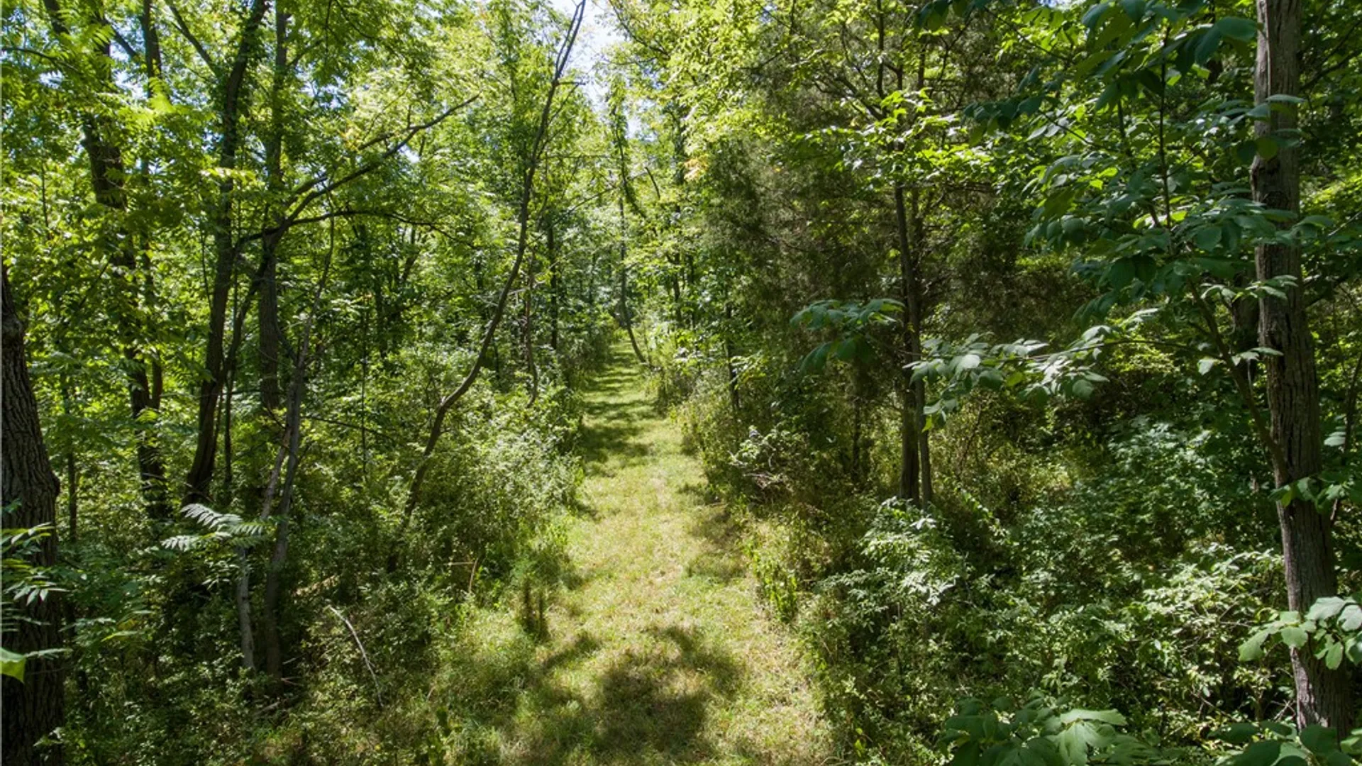 Property at 164 N Glenora Road, Starkey, NY 14837 36