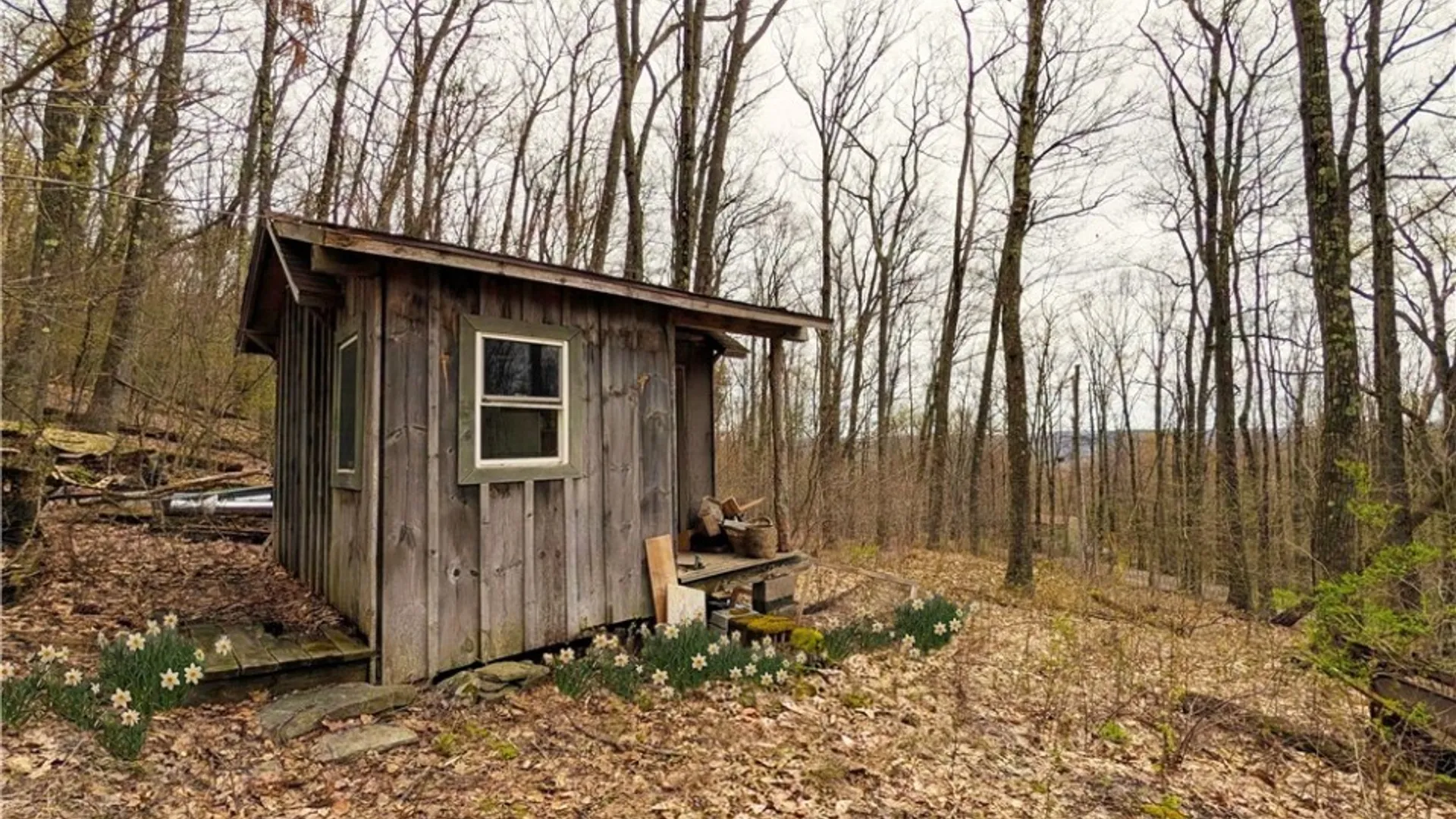 Property at 378 Tupper Road, Newfield, NY 14883 8