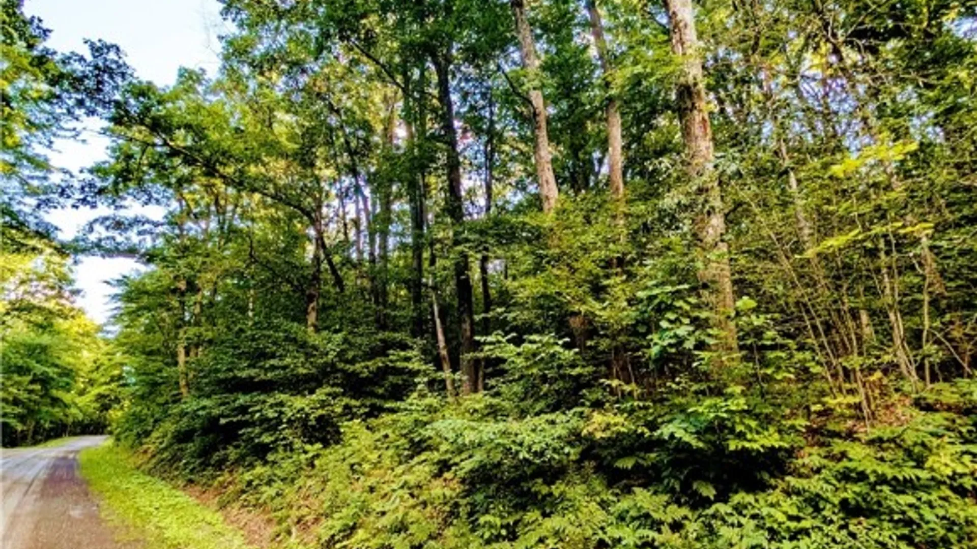 Property at 378 Tupper Road, Newfield, NY 14883 14